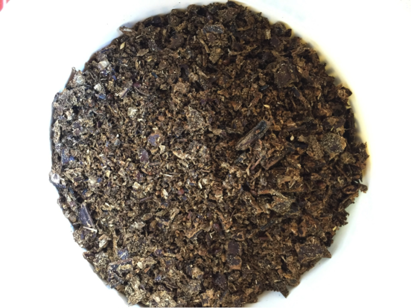 Carob for horses Equine Permaculture